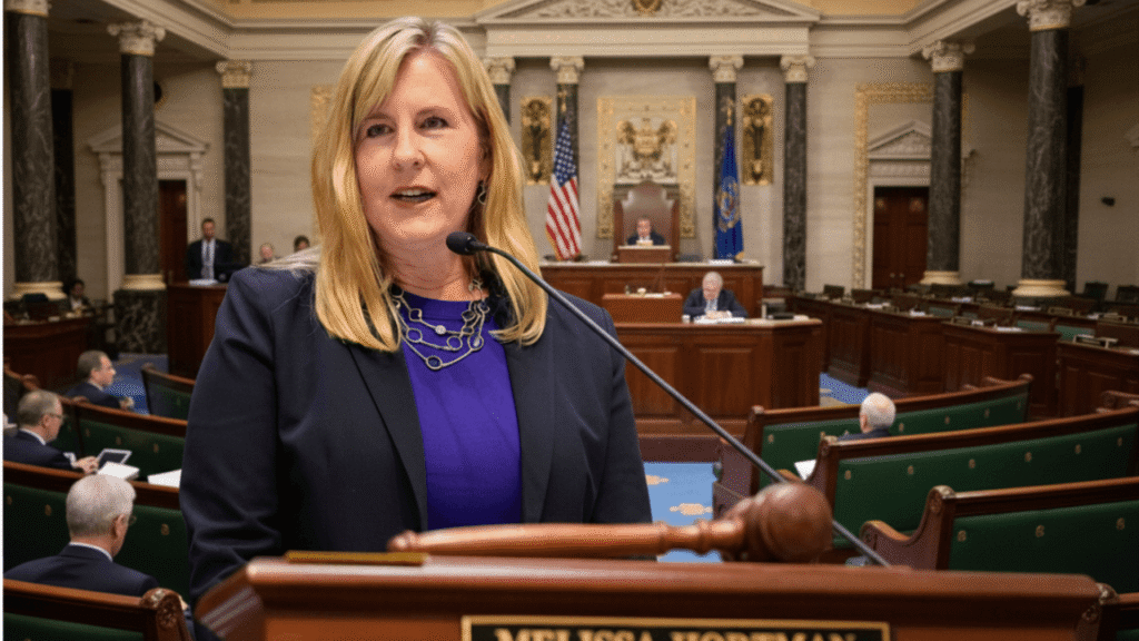 Political Career in the Minnesota House