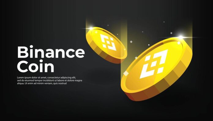 Binance Smart Chain Development